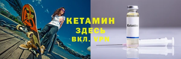 индика Гусь-Хрустальный