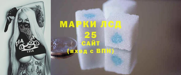 гидра Гусев