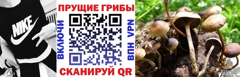 Галлюциногенные грибы ЛСД Светлый